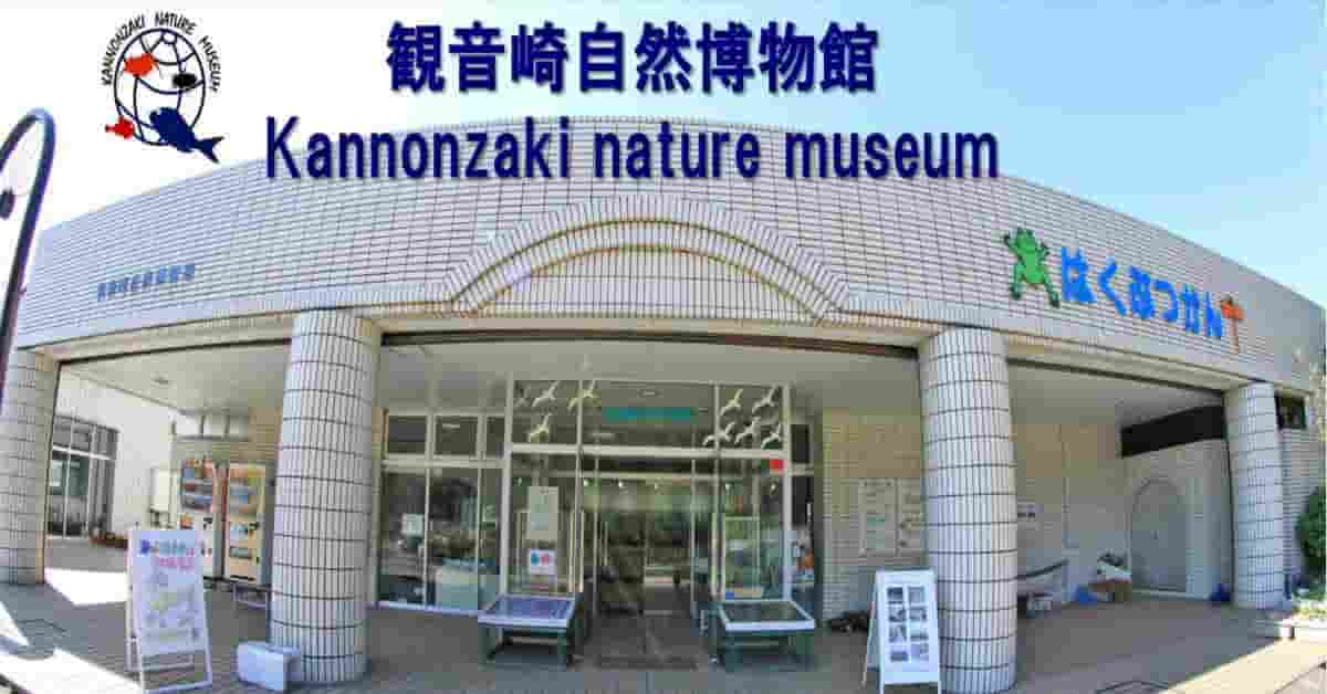 観音崎自然博物館【横須賀市】