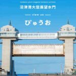 沼津港大型展望水門 びゅうお【静岡県沼津市】